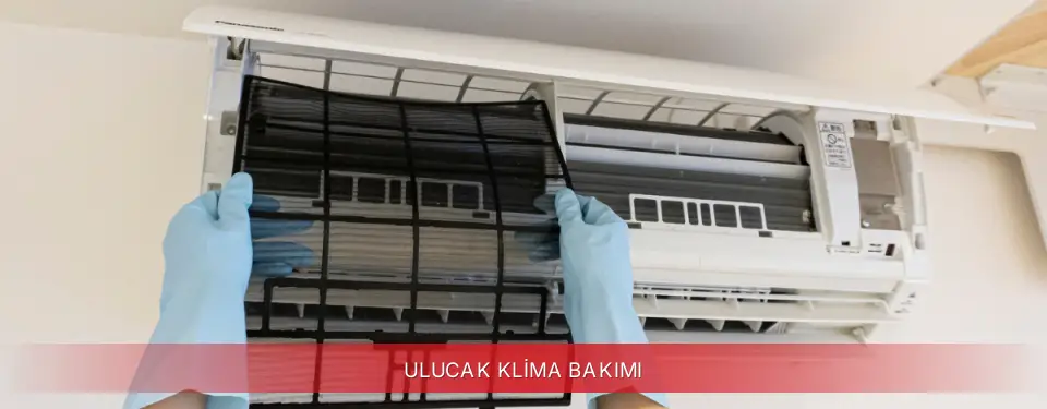 Ulucak İlçemi Finlux Klima Bakımı